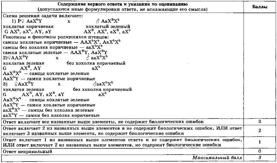 Егэ биология 2019 рохлов 30 вариантов ответов для подготовки к единому государственному экзаменам, Прилежаева Л. Г