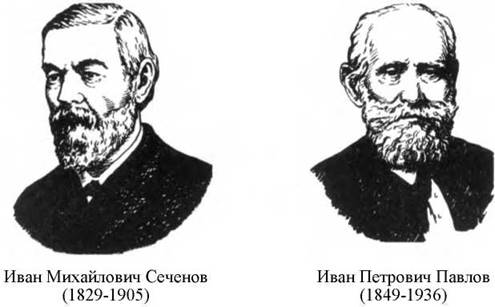 История физиологии - Анатомия и физиология человека - И. В ...