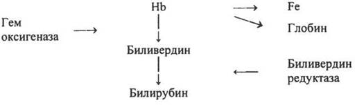 image10